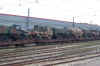 train05.jpg (524029 octets)