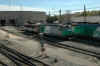 DSC_7323.JPG (876728 octets)