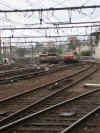 DSCN8191.JPG (229640 octets)