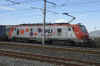 DSC0378.JPG (220327 octets)