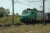 DSC_8791.JPG (871502 octets)