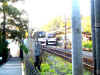 P1010005.JPG (345662 octets)