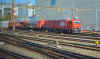 00737.jpg (321897 octets)