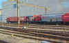 00739.jpg (331014 octets)