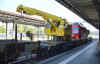 grue002.jpg (234109 octets)
