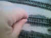CAM00083.jpg (182143 octets)