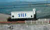 stef-g1.jpg (91820 octets)