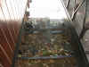 DSCN5484.JPG (129624 octets)
