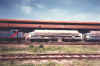 cc65004.jpg (171995 octets)