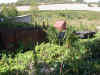 DSCN5458.JPG (242202 octets)