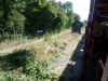 DSCN5511.JPG (195285 octets)