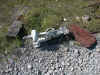 DSCN5595.JPG (296390 octets)
