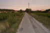 001les pins-cvillargues.jpg (52474 octets)