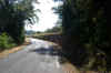 LES-PINS04.jpg (710571 octets)