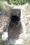 LES-PINS05.jpg (666825 octets)