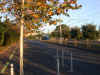 DSCN3153.JPG (412167 octets)
