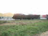 DSCN3227.JPG (395894 octets)
