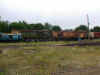 DSCN5251.JPG (314132 octets)