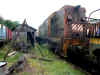 DSCN5280.JPG (216333 octets)