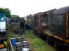 DSCN5294.JPG (170250 octets)